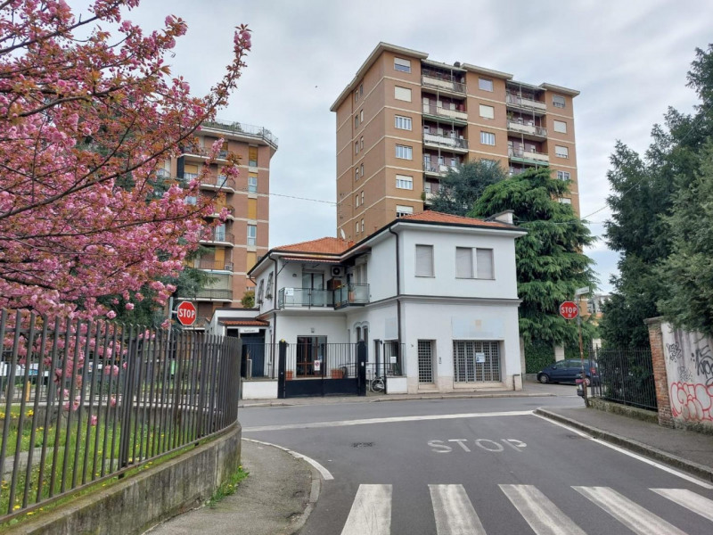 immagine annuncio 3 di 10
