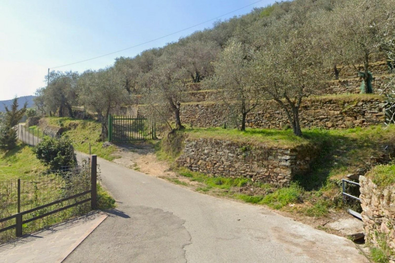 immagine annuncio 3 di 9
