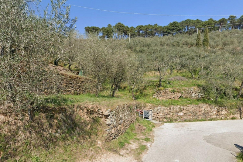 immagine annuncio 2 di 9