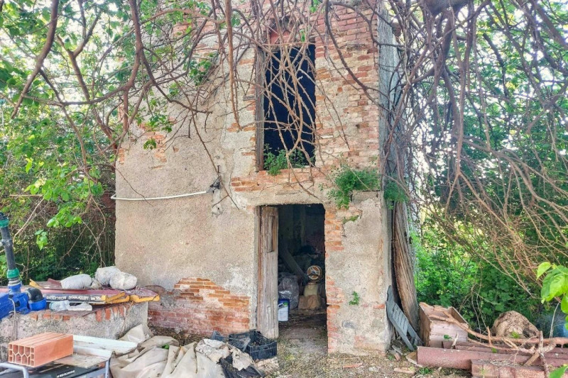 immagine annuncio 4 di 10