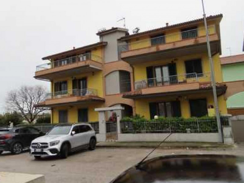 immagine annuncio 3 di 8