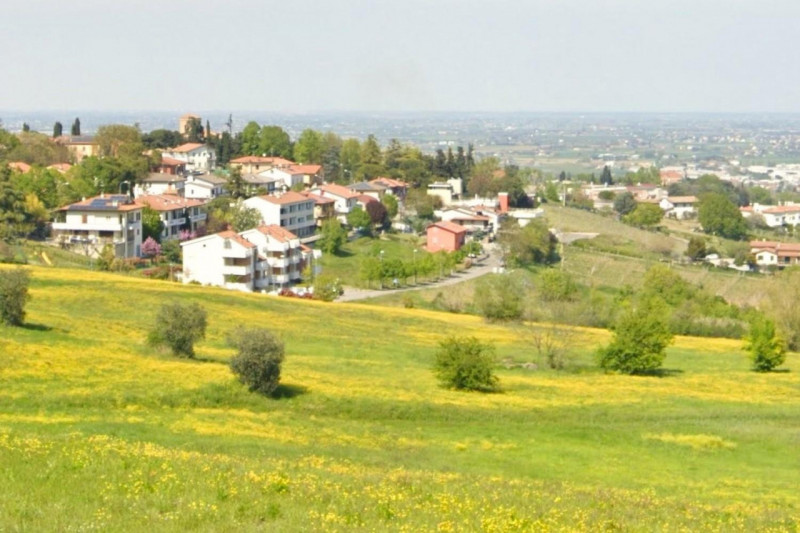 immagine annuncio 2 di 9