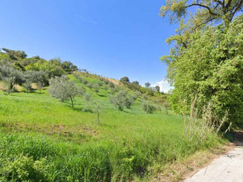 immagine annuncio 5 di 8