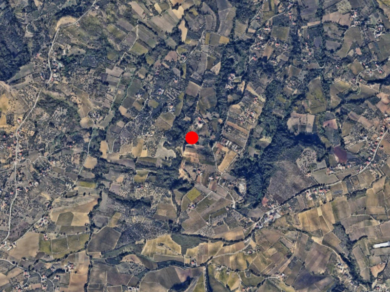 immagine annuncio 7 di 8