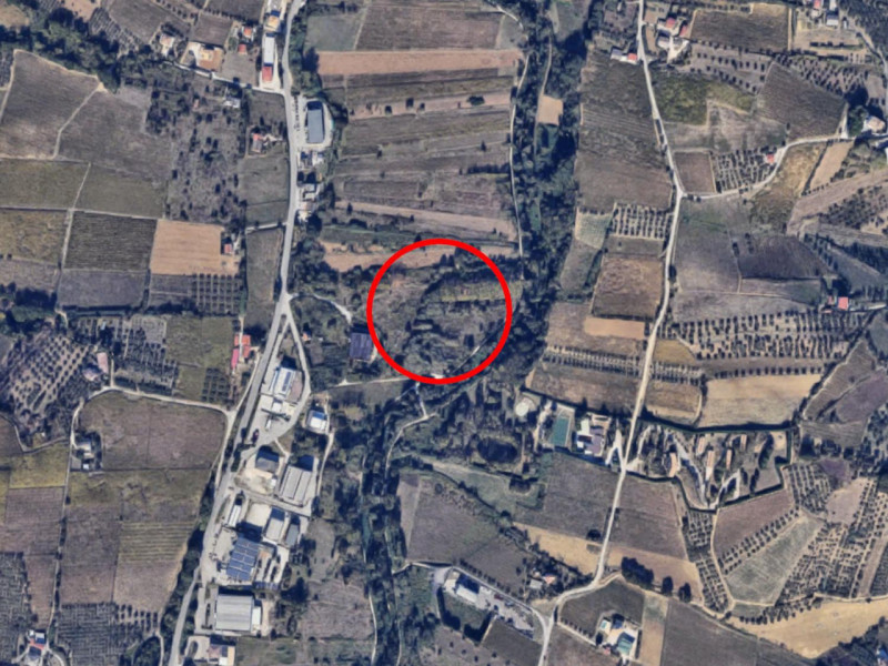 immagine annuncio 1 di 8