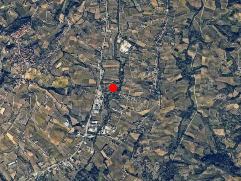 immagine annuncio 3 di 8