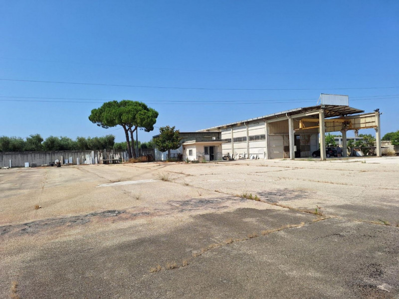 immagine annuncio 3 di 10