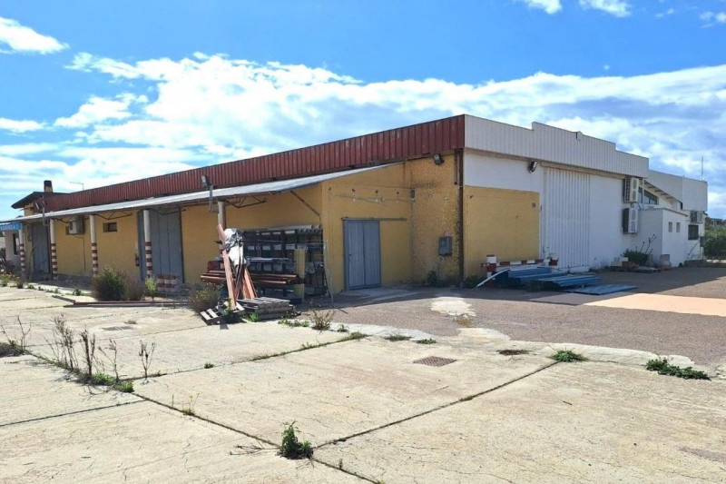 immagine annuncio 6 di 10