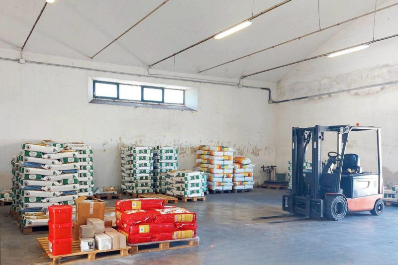 immagine annuncio 1 di 10