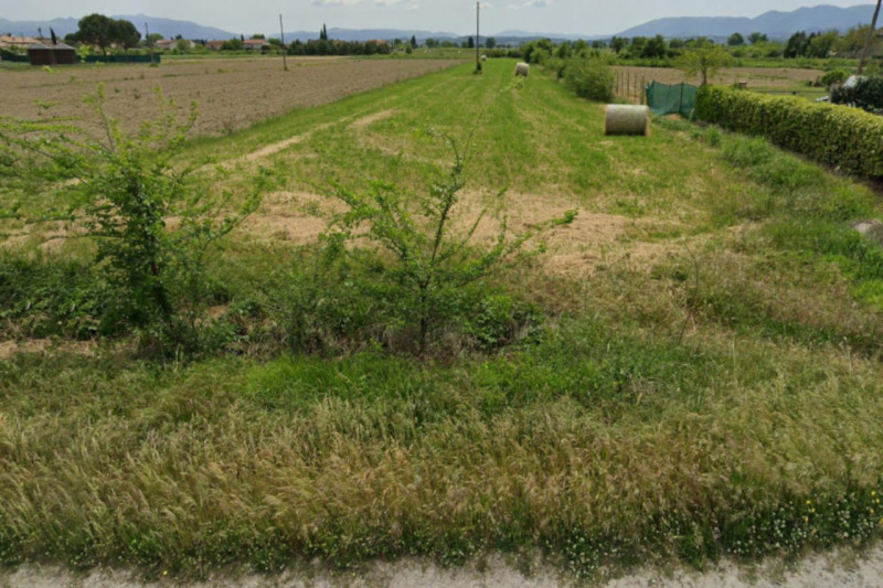 immagine annuncio 1 di 7