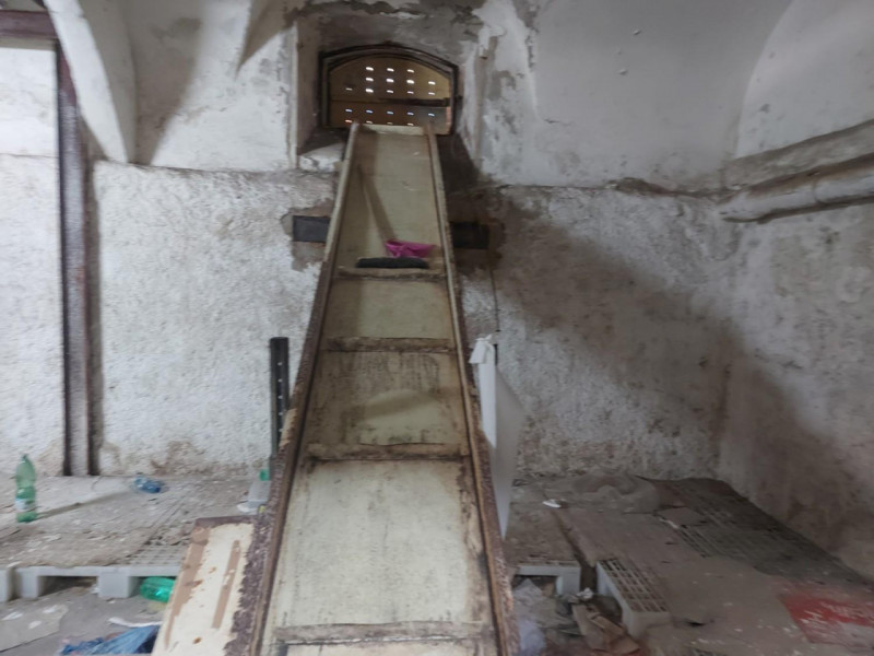 immagine annuncio 7 di 10