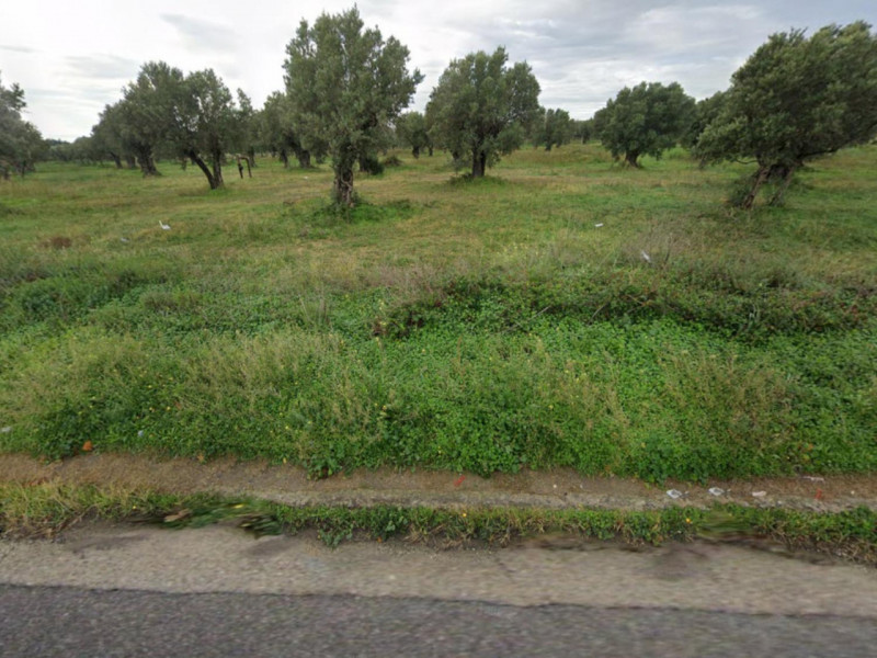 immagine annuncio 2 di 9