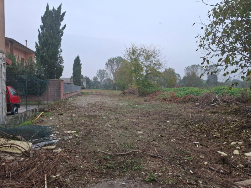 immagine annuncio 2 di 9