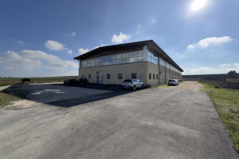 immagine annuncio 9 di 10