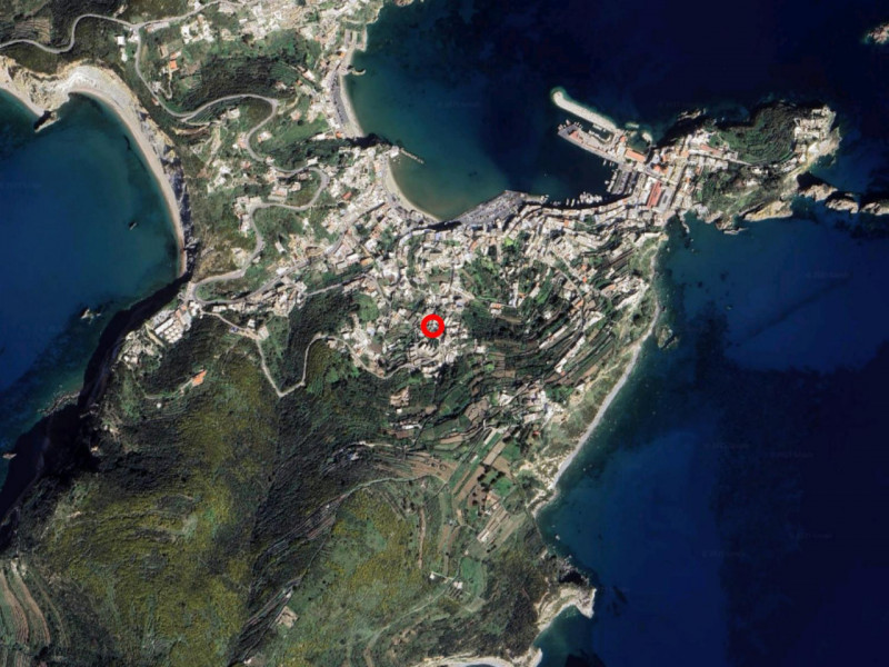 immagine annuncio 5 di 6