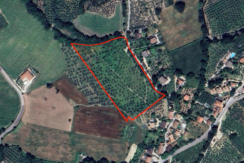 immagine annuncio 1 di 10