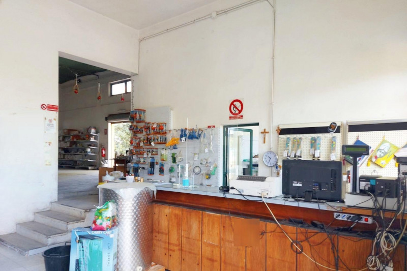 immagine annuncio 4 di 10