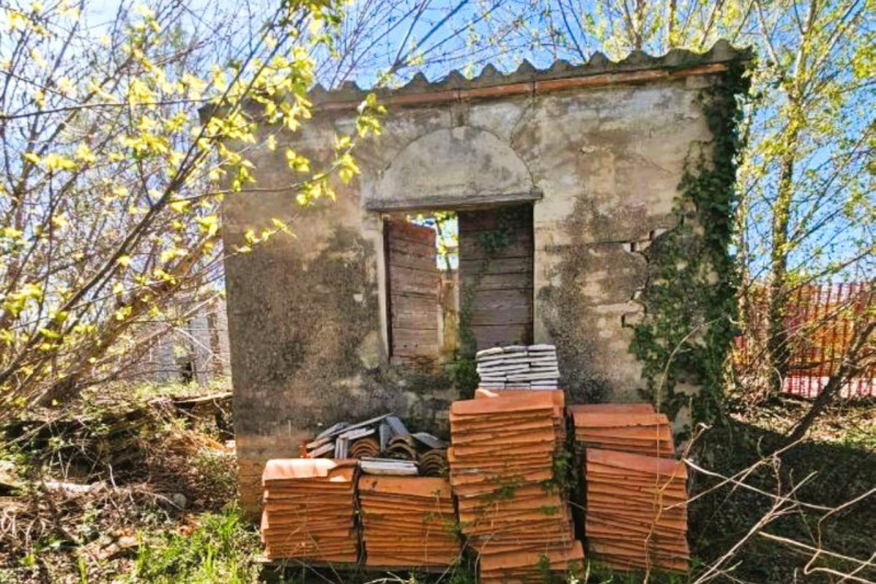 immagine annuncio 1 di 10