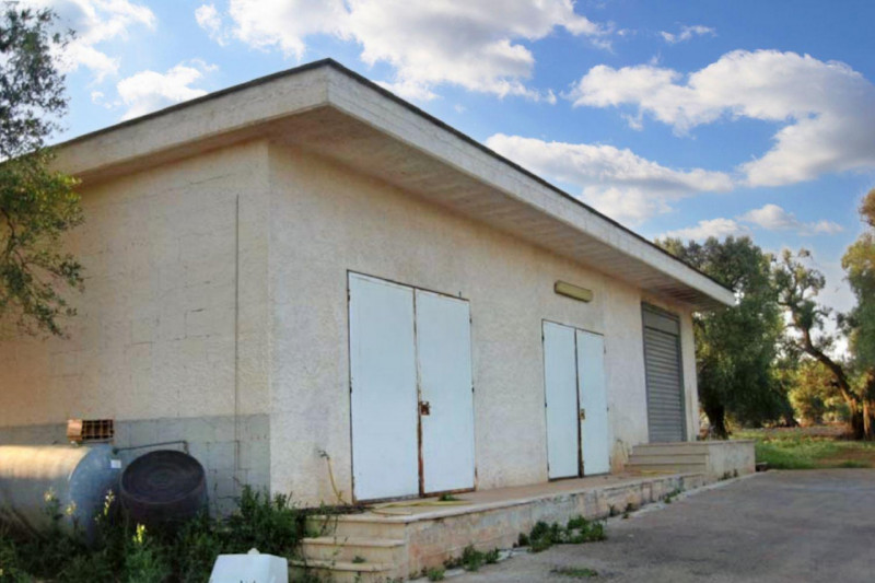 immagine annuncio 7 di 10