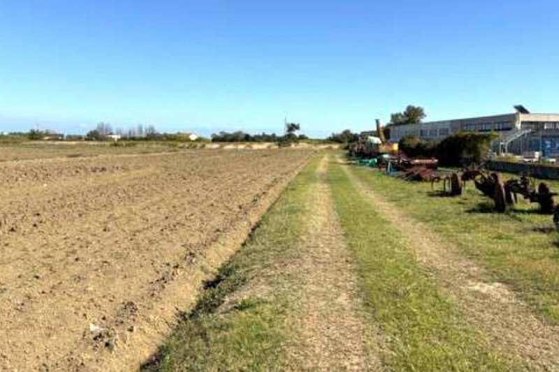 immagine annuncio 4 di 8