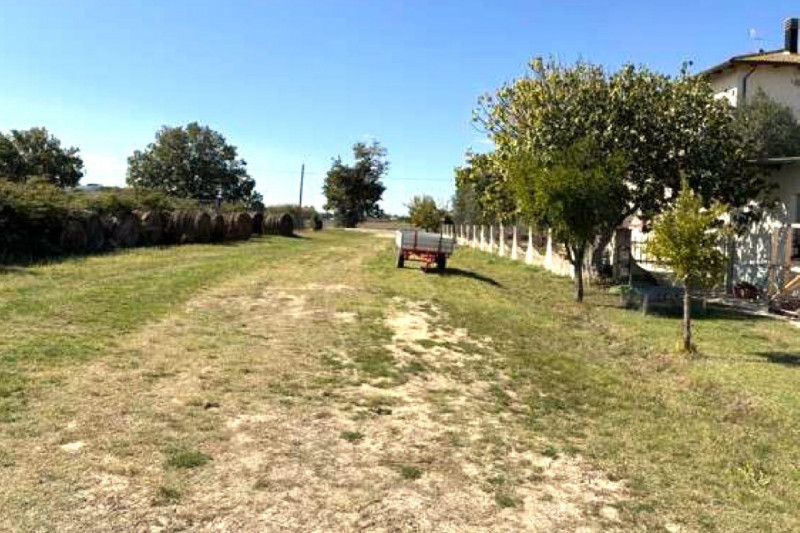 immagine annuncio 1 di 8