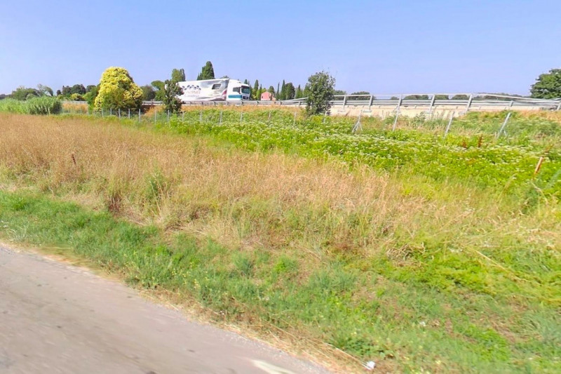 immagine annuncio 4 di 8