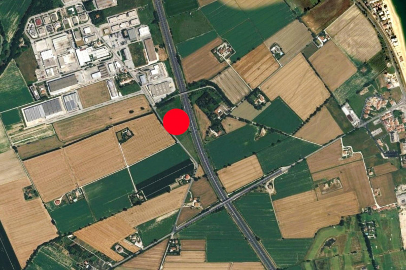 immagine annuncio 2 di 8