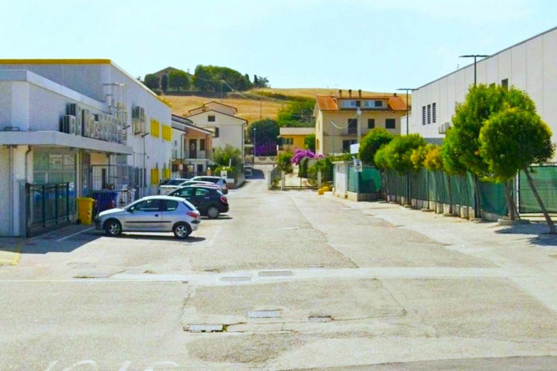 immagine annuncio 3 di 8