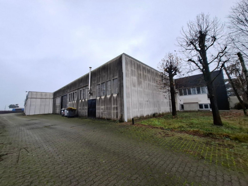 immagine annuncio 4 di 10