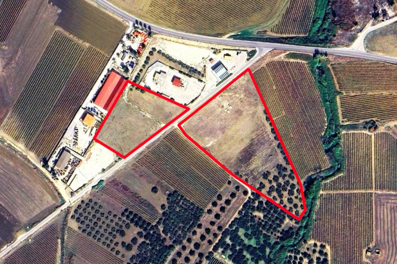 immagine annuncio 6 di 10