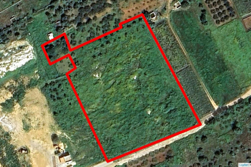 immagine annuncio 6 di 10