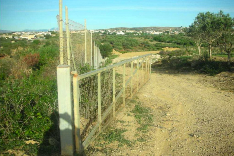 immagine annuncio 5 di 10