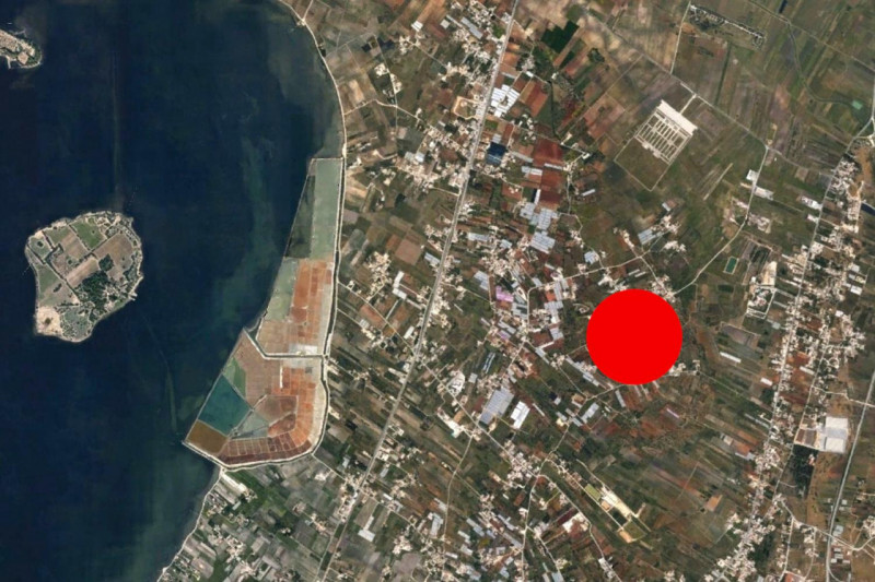 immagine annuncio 6 di 10