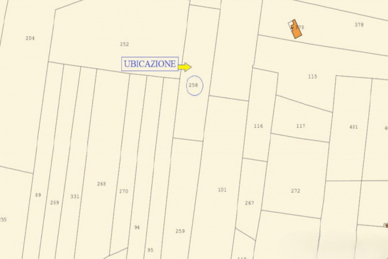 immagine annuncio 1 di 7