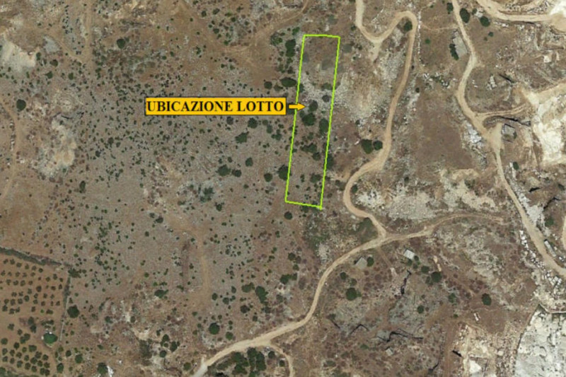 immagine annuncio 2 di 7