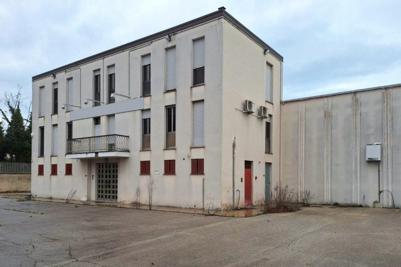 immagine annuncio 3 di 10