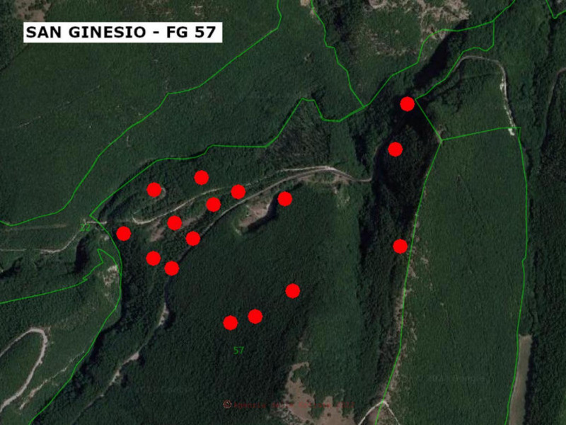 immagine annuncio 1 di 10