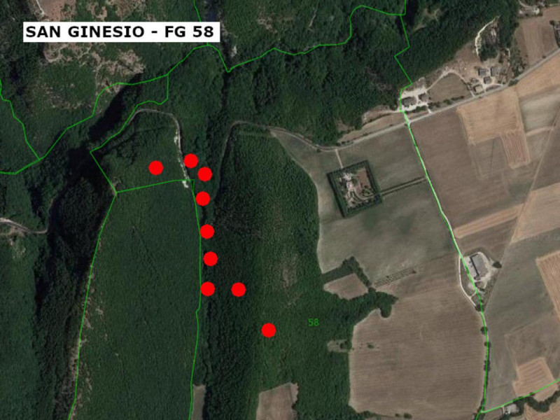 immagine annuncio 3 di 10