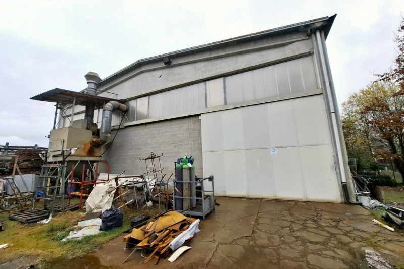 immagine annuncio 6 di 10