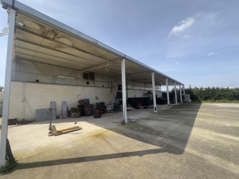 immagine annuncio 1 di 10