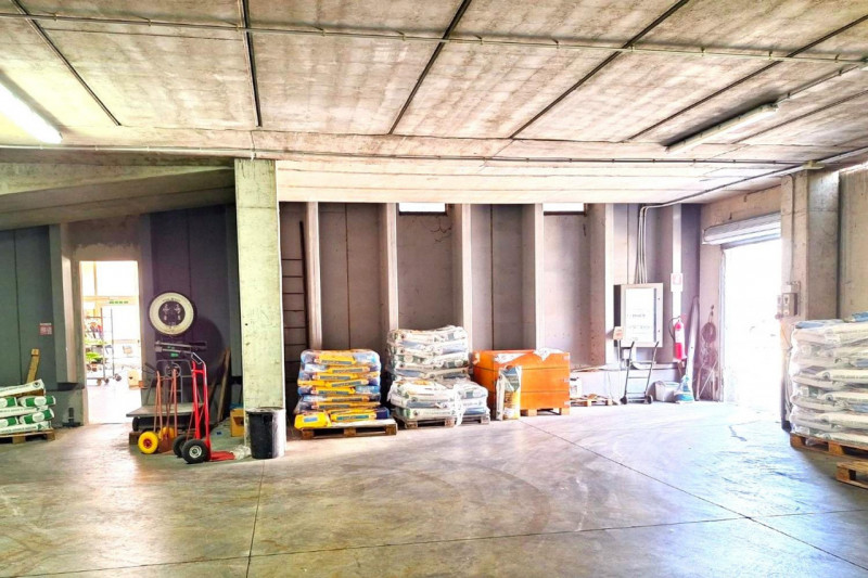 immagine annuncio 6 di 10