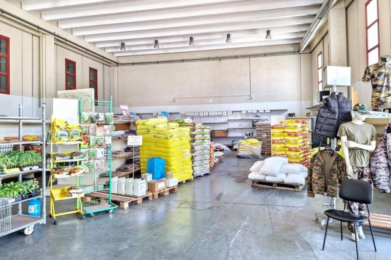 immagine annuncio 5 di 10