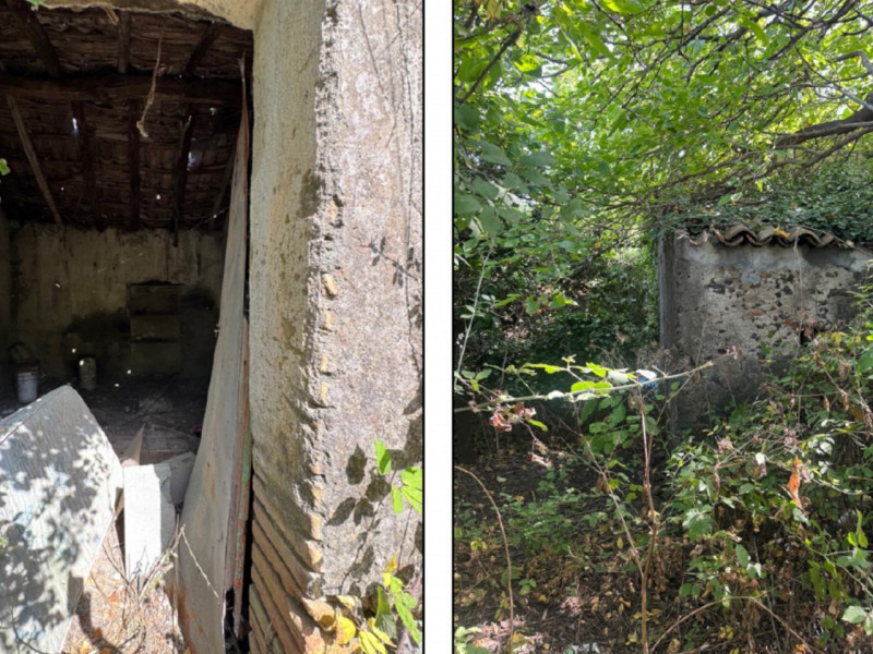 immagine annuncio 4 di 9