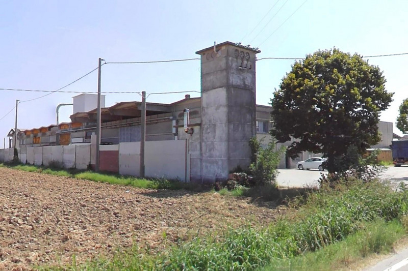 immagine annuncio 1 di 7