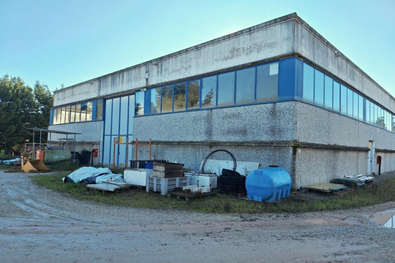 immagine annuncio 2 di 10