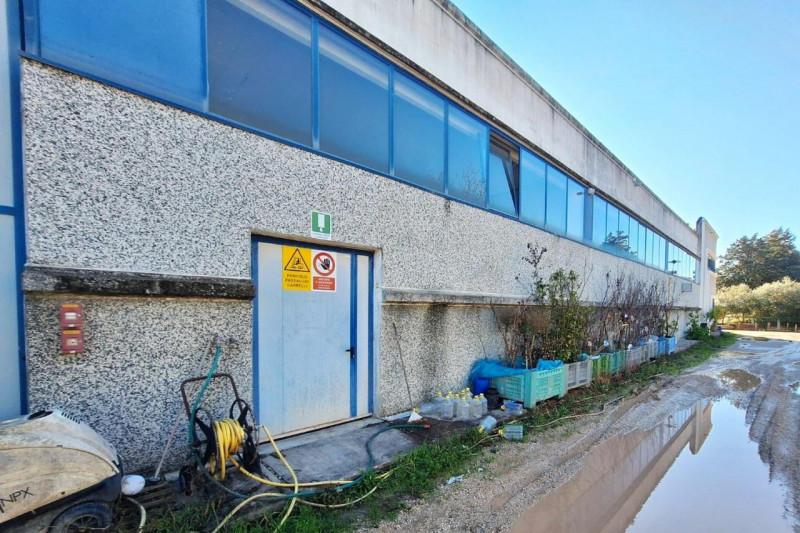 immagine annuncio 3 di 10