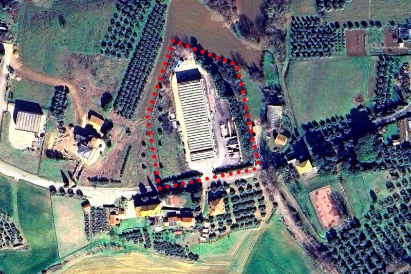 immagine annuncio 7 di 10