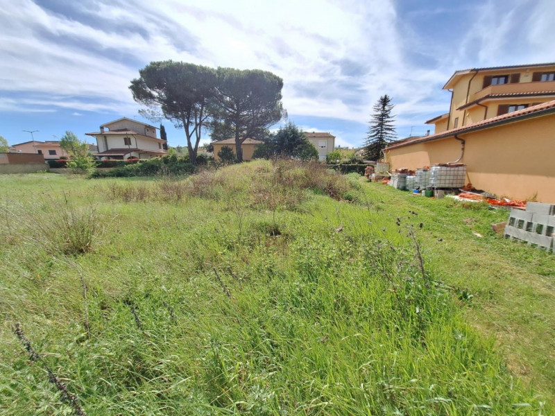 immagine annuncio 3 di 8