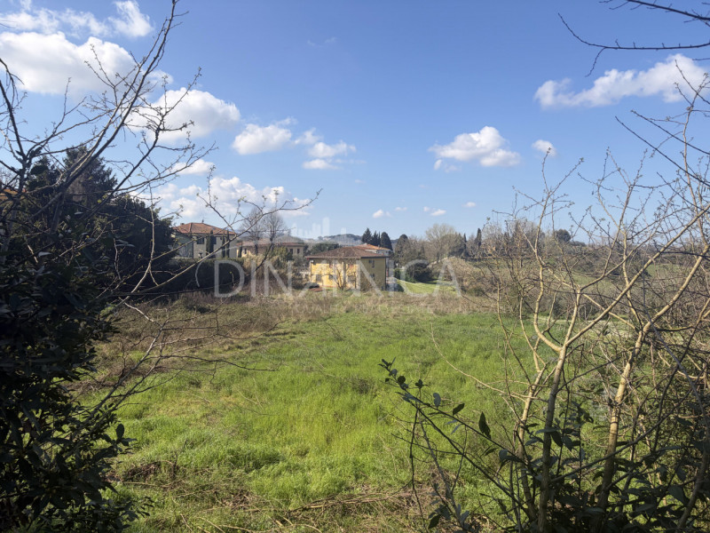 immagine annuncio 3 di 9