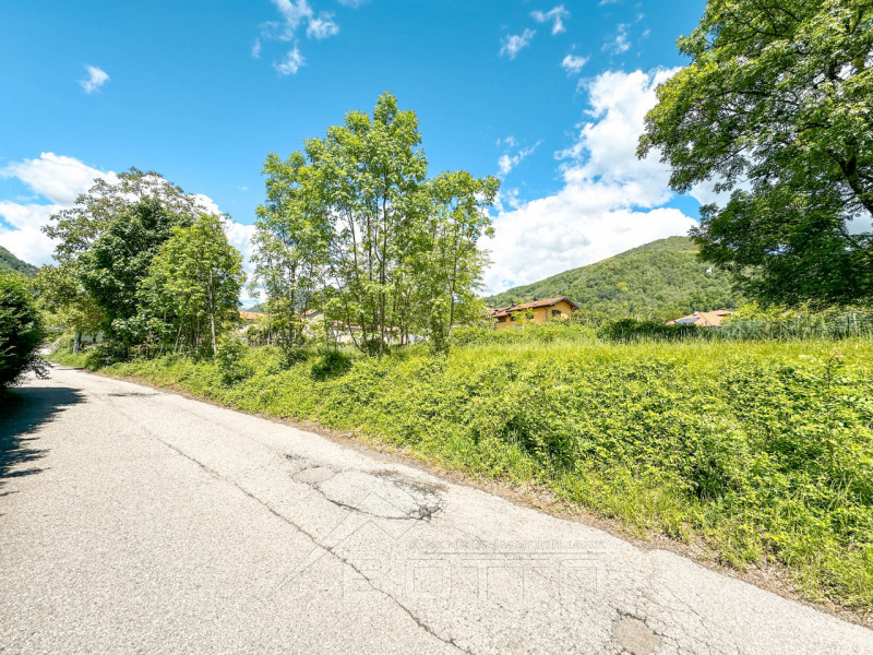 immagine annuncio 4 di 6